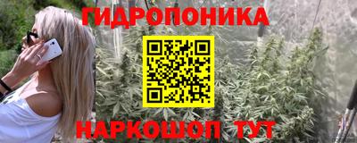 герыч Будённовск