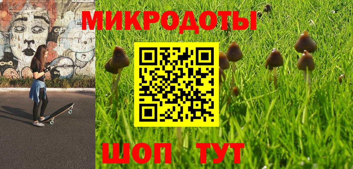 Пермь  Галлюциногенные грибы Psilocybine cubensis  Вход с VPN 